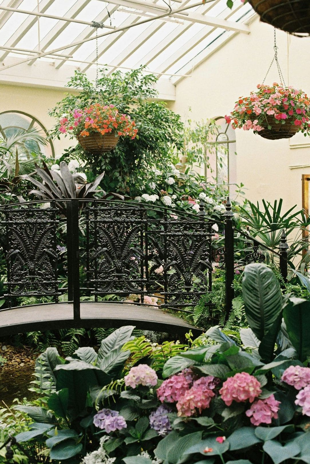 Seasonal garden maintenance